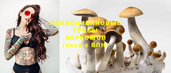 винт Белоозёрский