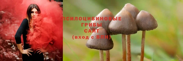 СК Семёнов