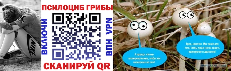 kraken   Горно-Алтайск  Псилоцибиновые грибы Magic Shrooms  где купить  